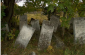 The Jewish cemetery in Lipcani is surrounded by a stone wall. Around 100 gravestones are still visible; the oldest ones date back to the 18th century. ©Jewish Heritage Sites and Monuments in Moldova