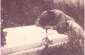 Bina and her mother Henia at her father’s grave. After the war, Henia moved the body of her husband to the Jewish cemetery in Sambir. © Personal Family Archive