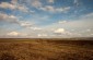 The execution site at the former “Stalin” kolkhoz, shown to our team by Valentin F., where hundreds of Jews were shot, their bodies buried in a silo trench. ©Markel Redondo/Yahad – In Unum