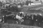 Limanowa, Poland, deported Jews pulling a cart. ©Photo archive, taken from yadvashem.org 2656/110