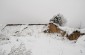 Roman, 1935 saw the Germans leading a Jew called Monachko or Guerchko to this site and forcing him to dig a pit. The pit was near the brickyard, south of the village. To the right of this location is the stadium. There is no memorial. ©Les Kasyanov/Yahad