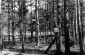 A fence and a sign in the Paneriai forest  © www.yadvashem.org