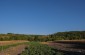 The former location of the pigsty where the Jews transferred from the Bessarabia and Bukovina were detained. The pigsty no longer exists. It is located in the south east of Bondurivka ©Les Kasyanov/Yahad - In Unum