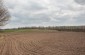 The field where the sand pits were dug in which the Jews were murdered in August and October 1942. ©Les Kasyanov/Yahad - In Unum