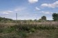 The location of the mass grave where the corpses of the Jews died in the camp were buried. The grave was located 100m away from the barrack. © Aleksey Kasyanov/Yahad-In Unum