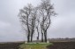 The mass grave and its memorial in Kupyn. Hundreds of Jews were shot at this site. ©Les Kasyanov/Yahad - In Unum