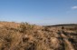 El lugar de la fosa común donde fueron enterrados los cuerpos de las víctimas judías. Los judíos fueron fusilados y apuñalados con bayonetas dentro de sus casas. © Aleksey Kasyanov/Yahad-In Unum