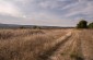 The former clay quarry today transformed into an abandoned field. © Aleksey Kasyanov/Yahad-In Unum