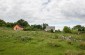 The territory of the Jewish cemetery. At this site, several dozens Jews were buried or killed during the occupation. ©Les Kasyanov/Yahad – In Unum