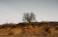 A sand quarry of the former estate that belonged to the Gruferman family in Varkovychi. © Aleksey Kasyanov/Yahad – In Unum