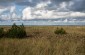 According to the archives, in mid-December 1941, mass killings of 2,800 Jewish men, women and children took place at the beach in the dunes of Šķēde. ©Eva Saukane/Yahad - In Unum