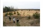 The execution site of the Jews in Borovukha I. ©Guillaume Ribot/Yahad - In Unum