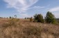 The mass grave is in the western part of Kosharyntsi. Back then it was a clay quarry. Today, there is an abandoned field.   © Aleksey