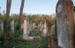 Jewish cemetery in Storozhynets. According to the Soviet archives, about 90 Jews were reburied here after being shot on the streets. ©Les Kasyanov/Yahad-In Unum