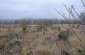 The old Jewish cemetery, not far from the execution site. ©Les Kasyanov/Yahad - In Unum