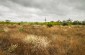 Former Jewish cemetery located in the south west of the village. There are no more tombstones. © Omar Gonzalez/Yahad-In Unum