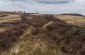 A drone view of the execution site of circa. 200 Jews, that remains without memorial.  ©Les Kasyanov/Yahad - In Unum