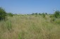 The Machine Tractor Service where the execution took place was located in this field. Another factory stands next to it today. ©Les Kasyanov/Yahad – In Unum