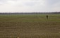 The execution site where 30 Jews were shot dead, their bodies dumped in a trench that had been dug to hide aircraft. ©Markel Redondo/Yahad – In Unum