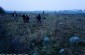 The former Jewish cemetery in Volpa. ©Rousslan Dion/Yahad - In Unum