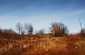 The Jewish cemetery of Kremenets. ©Les Kasyanov/Yahad - In Unum