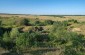 The former location of the sand quarry and the labor camp that existed from March to September 1942. ©Les Kasyanov/Yahad – In Unum