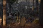 The remaining tombstones at the Jewish cemetery in Luga.©Cristian Monterroso/Yahad-In Unum