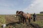 Local farmers working in the field © Markel Redondo - Yahad-In Unum