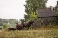 A typical local horse cart. ©Les Kasyanov/Yahad - In Unum