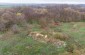 A drone view at the ruins of the pigsty where the Jews were detained. ©Les Kasyanov/Yahad - In Unum