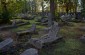 The Jewish cemetery in Liepāja. ©Eva Saukane/Yahad - In Unum