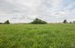Killing site n°1, the former peat bog in Wola Okrzejska, where 36 Jews, mainly elderly, women and children  from the manor labor camp were shot on December 28, 1942, by SS men stationed in nearby Korwin. ©Les Kasyanov/Yahad - In Unum