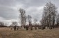 The Jewish cemetery in Narodychi. ©Les Kasyanov/Yahad - In Unum