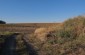 The mass grave of several Jews who died from starvation and cold in the ghetto under the Romanian occupation. The site is located North East of the village. In the 1960s, the corpses were partially exhumed and reburied. ©Les Kasyanov/Yahad-In Unum -In Unu