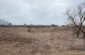 The manor grounds where the bodies of the Jews from the labor camp were buried. The Jews were killed during three different Aktions conducted in June, July and November 1943. There are at least three mass graves on the manor grounds. ©Les Kasyanov/Yahad -