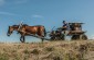 A modern day cart being used for farm work. ©Les Kasyanov/Yahad - In Unum