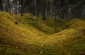 The killing site of around 100 Jewish men, presumably from Gudeliai, killed by the Germans and their Lithuanian auxiliaries on July 23, 1941. The site is located in the forest near Ąžuolų Būda. ©Cristian Monterosso/Yahad - In Unum