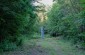 The memorial in the forest dedicated to the Jews murdered here during the war. ©Les Kasyanov/Yahad – In Unum