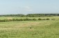 Rural landscape in Rudkovshchina. ©Les Kasyanov/Yahad - In Unum