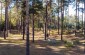 The execution took place in this forest. Today, a memorial marks the spot where the massacre of 35 Jews happened on June 23, 1942. ©Les Kasyanov/Yahad – In Unum