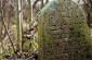 The former Jewish cemetery in Shchuchyn. ©Rousslan Dion/Yahad - In Unum