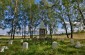 The execution site where 3,000 people, including Jews, civilians and POWs were massacred during the German occupation of the town. © Rita Villanueva/Yahad - In Unum