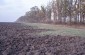 The location of the mass graves where dozens of Jews who died in the cowshed were buried. Back then they were silo pits. ©Les Kasyanov/Yahad-In Unum.