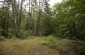 The execution site of about 5,000 Jews from Rivne murdered in mid-July 1942. It is located in the forest close to the military base. The memorial is located just in front of the mass grave. © Victoria Bahr/ Yahad-In Unum© Victoria Bahr/ Yahad-In Unum