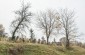 Jewish cemetery in Chudei. ©Les Kasyanov/Yahad-In Unum