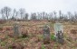 The surviving tombstones at the Jewish cemetery in Pechera. ©Les Kasyanov/Yahad - In Unum.