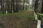 Mass grave containing Jewish victims in the Kurpiesze forest. ©Nicolas Tkatchouk/Yahad - In Unum