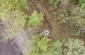 A drone view at the execution site where over 50 Jews were murdered. ©Les Kasyanov/Yahad-In Unum