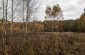 In 1942-1943 several Jews, who had managed to escape deportation, hid in the forests bordering the Bug River. A group of 64 Jews hiding in the Dębów forest were killed by Germans at this site in September 1943. ©Les Kasyanov /Yahad - In Unum