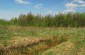 An old anti-tank ditch for the Jewish victims. ©Les Kasyanov/Yahad - In Unum